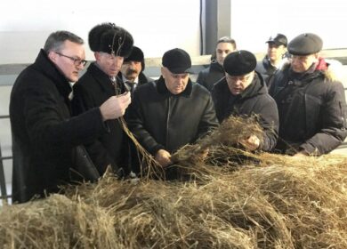 Вологодские производители льна получат всестороннюю поддержку