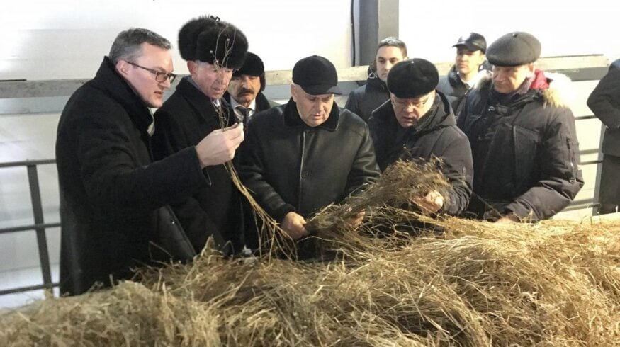 Вологодские производители льна получат всестороннюю поддержку