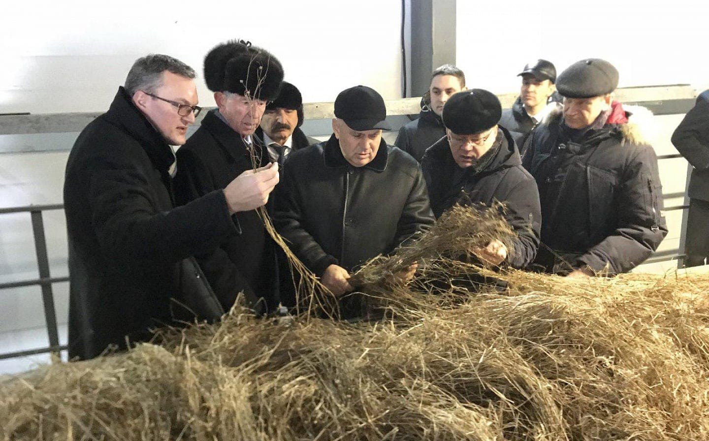 Вологодские производители льна получат всестороннюю поддержку