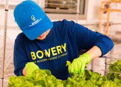 Bowery — овощи «под заказ»