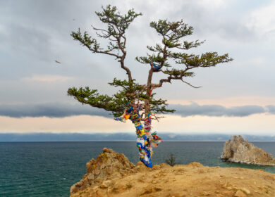 В Бурятии хотят развивать «зелёную экономику»