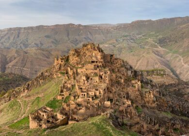 В Дагестане вырастут урожаи тепличных овощей