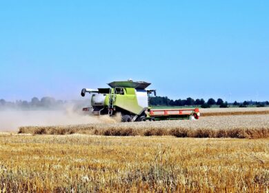 Тамбовская область нарастит экспорт зерна