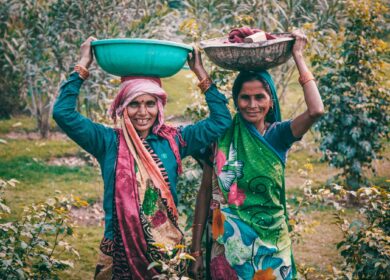 В Индии развивается субсидирование закупок агрохимикатов