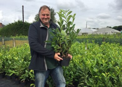 Israel Chemicals продвигает Osmocote PrePlant