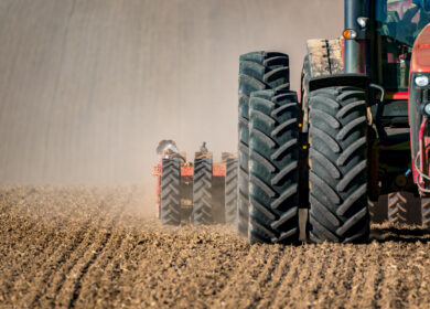 В Подмосковье готовятся к посевной