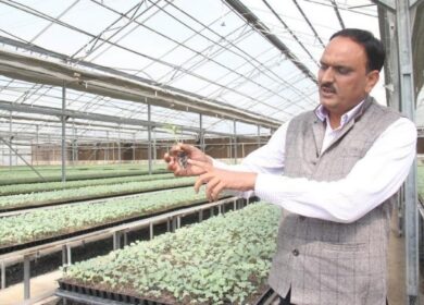 Израильские технологии для индийских аграриев