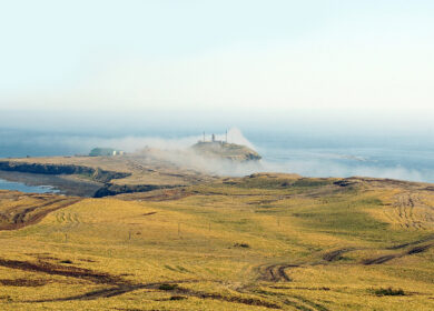Сахалин поставил рекорд по использованию агрохимикатов