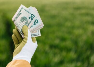 Verde AgriTech получила долговое финансирование