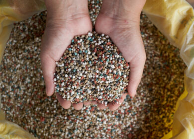 «Аграрный фонд» возобновил продажи