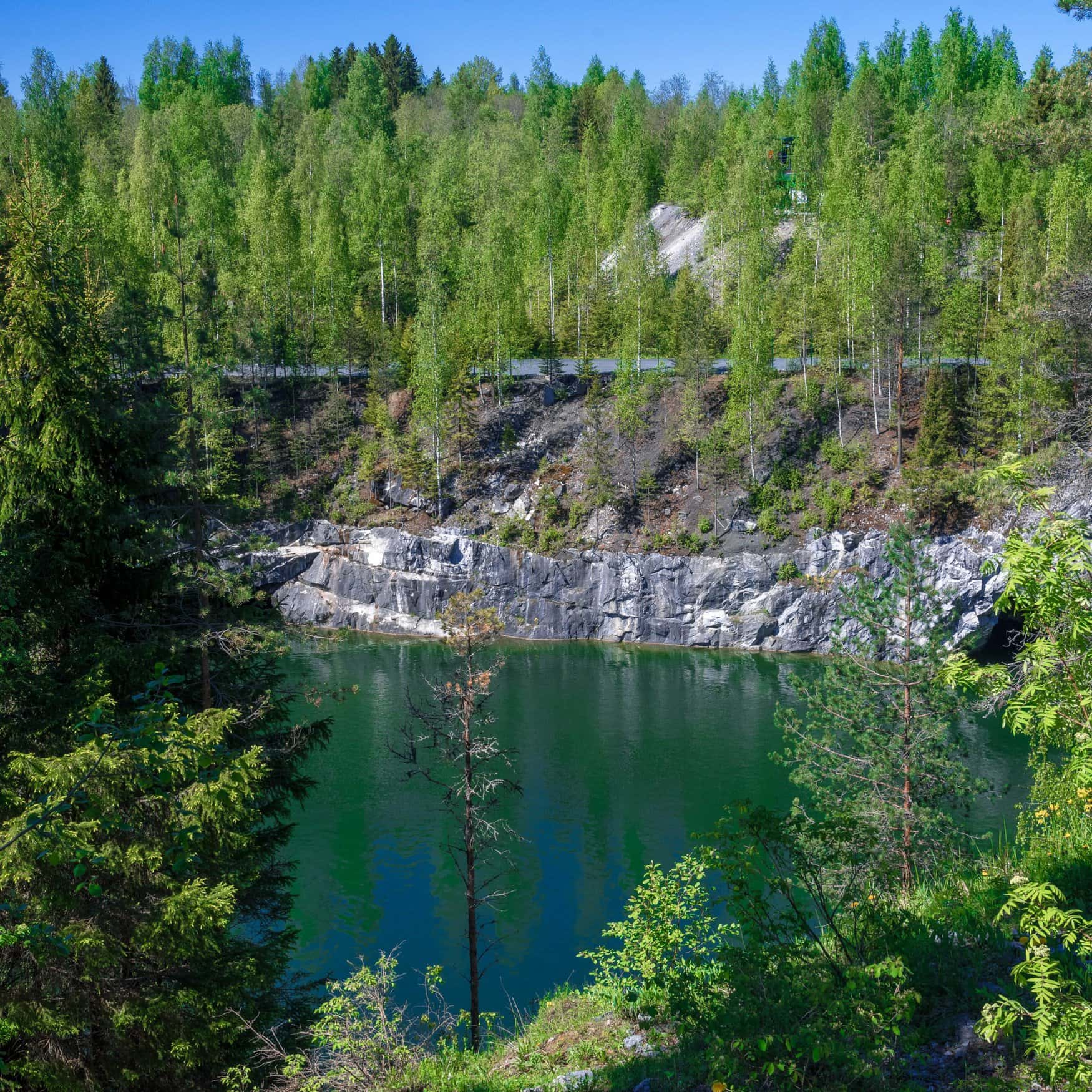 В Карелии отрабатывают технологию производства органических удобрений