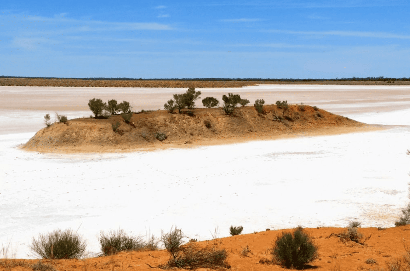 Agrimin верит в сульфат калия