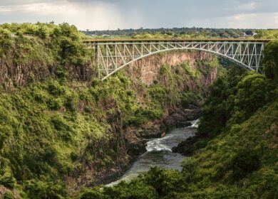 Глава «Уралхима» изучает возможности Зимбабве