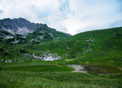 Адыгее требуется свыше 35 тыс. тонн агрохимикатов