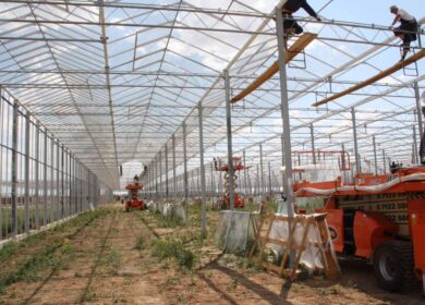 В Дагестане возводится большой тепличный комплекс