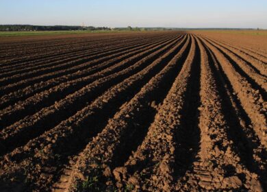 Подмосковные аграрии закупили 23% удобрений