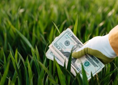 Harvest Minerals стоит в шаге от инвестиций