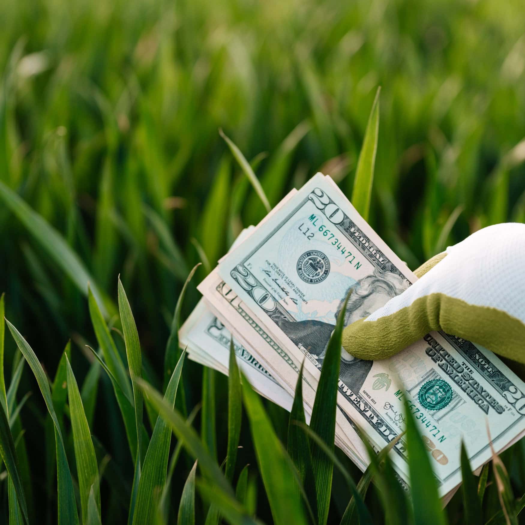 Harvest Minerals стоит в шаге от инвестиций