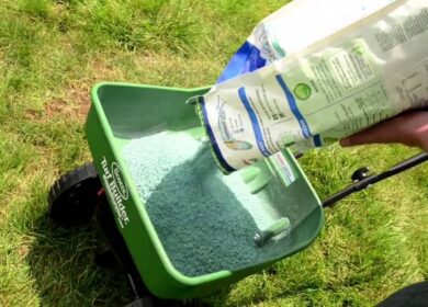 Scotts снова под следствием