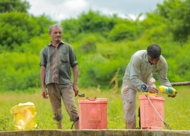 В Индии растут продажи агрохимикатов
