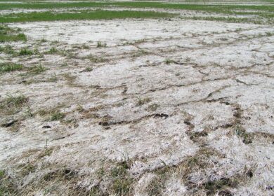В Мордовии введено чрезвычайное положение