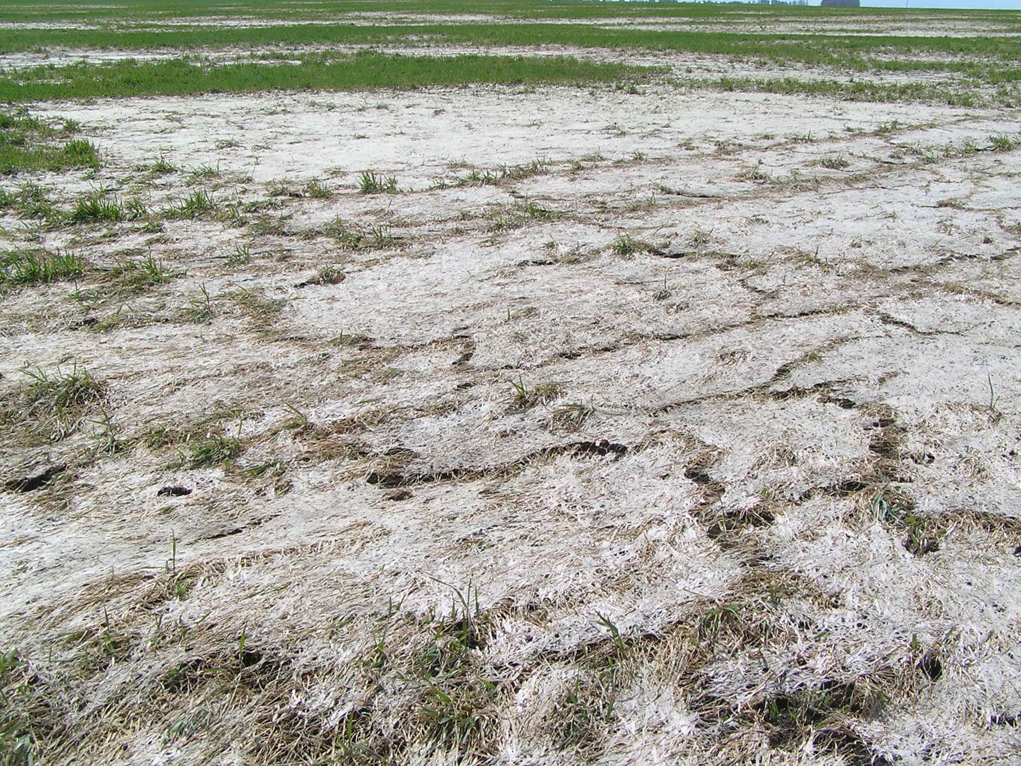 В Мордовии введено чрезвычайное положение