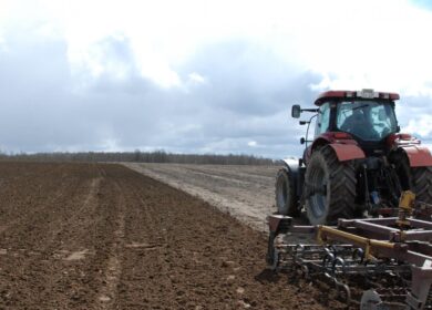 Яровой сев набирает в России обороты
