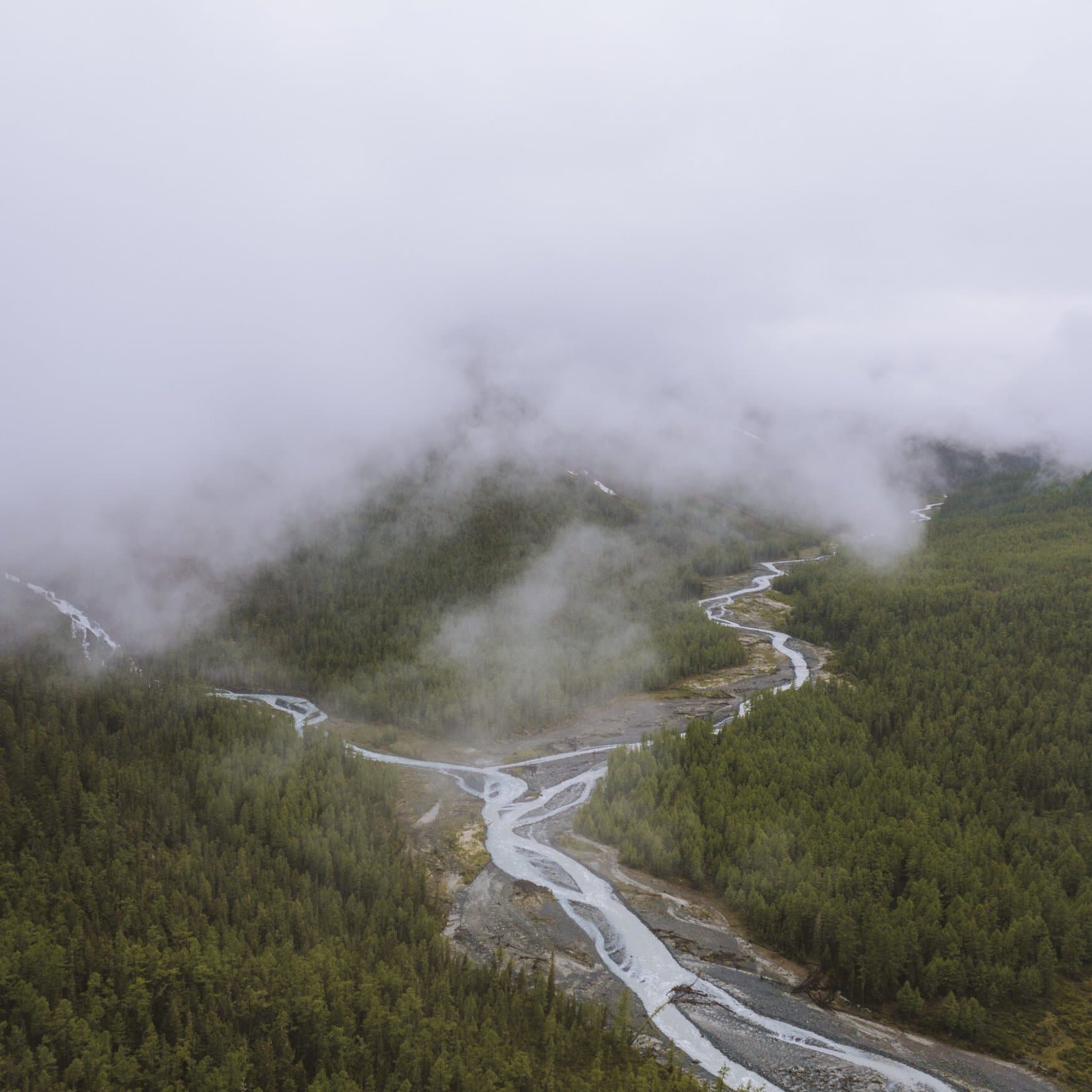 На Алтае набирают популярность жидкие удобрения