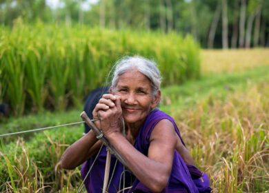 Индия может снизить импорт калийных удобрений