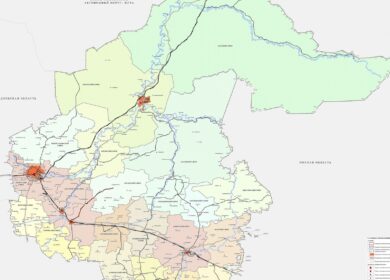 Посевные площади в Тюменской области не сократятся