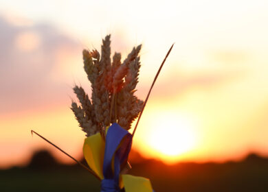 «Аграрный фонд» начал реализацию удобрений