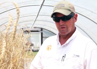 Экстремальные бактерии могут повысить эффективность органического фермерства