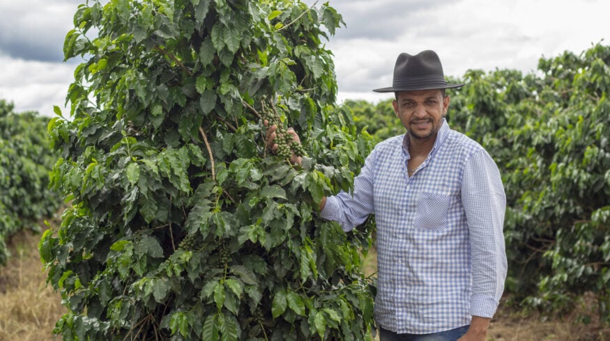 Фермеры Бразилии переходят на зеленые удобрения