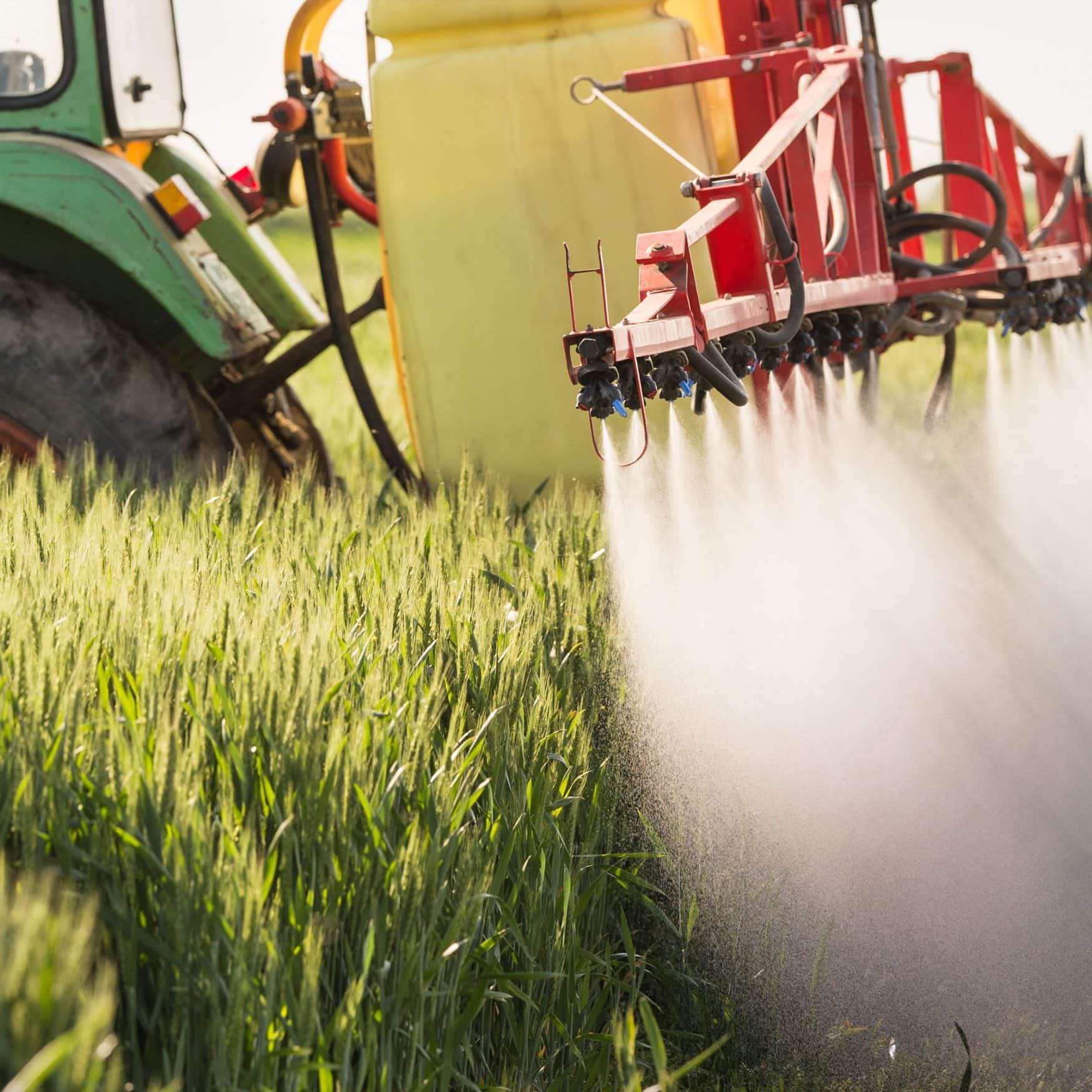 В России увеличится известкование почв