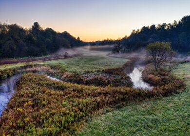 В США очередное загрязнение привело к гибели рыбы