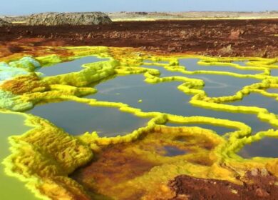 «ЕвроХим» дотянулся до Африки