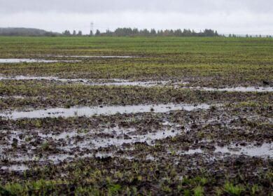 В Алтайском крае введен режим чрезвычайной ситуации