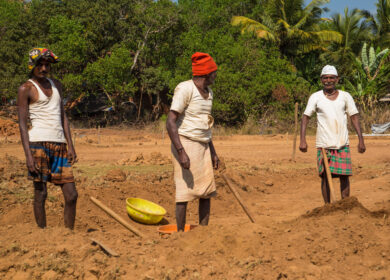 В Гоа грядет «космическое земледелие»