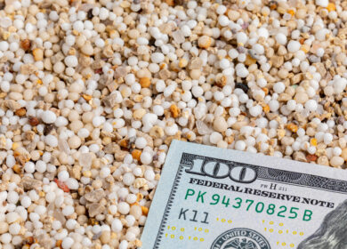 Фосфорные удобрения медленно дорожают