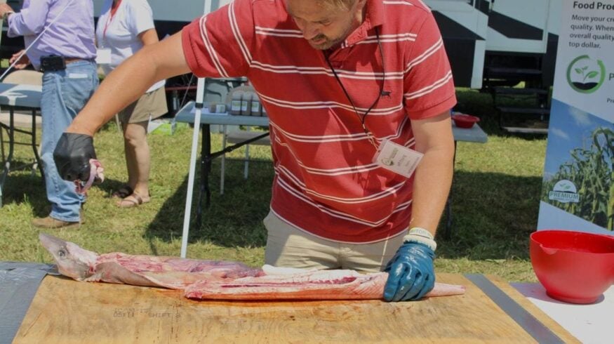 Из акулы в удобрения