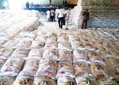 Бум поддельных удобрений вредит урожаям в Нигерии