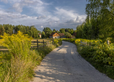 Развитию сельских территорий поможет национальный проект