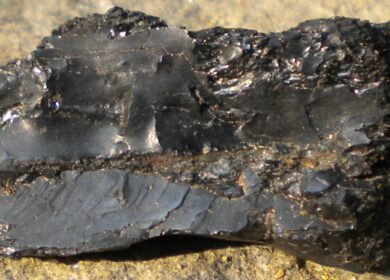 В Узбекистане хотят производить удобрения из угля