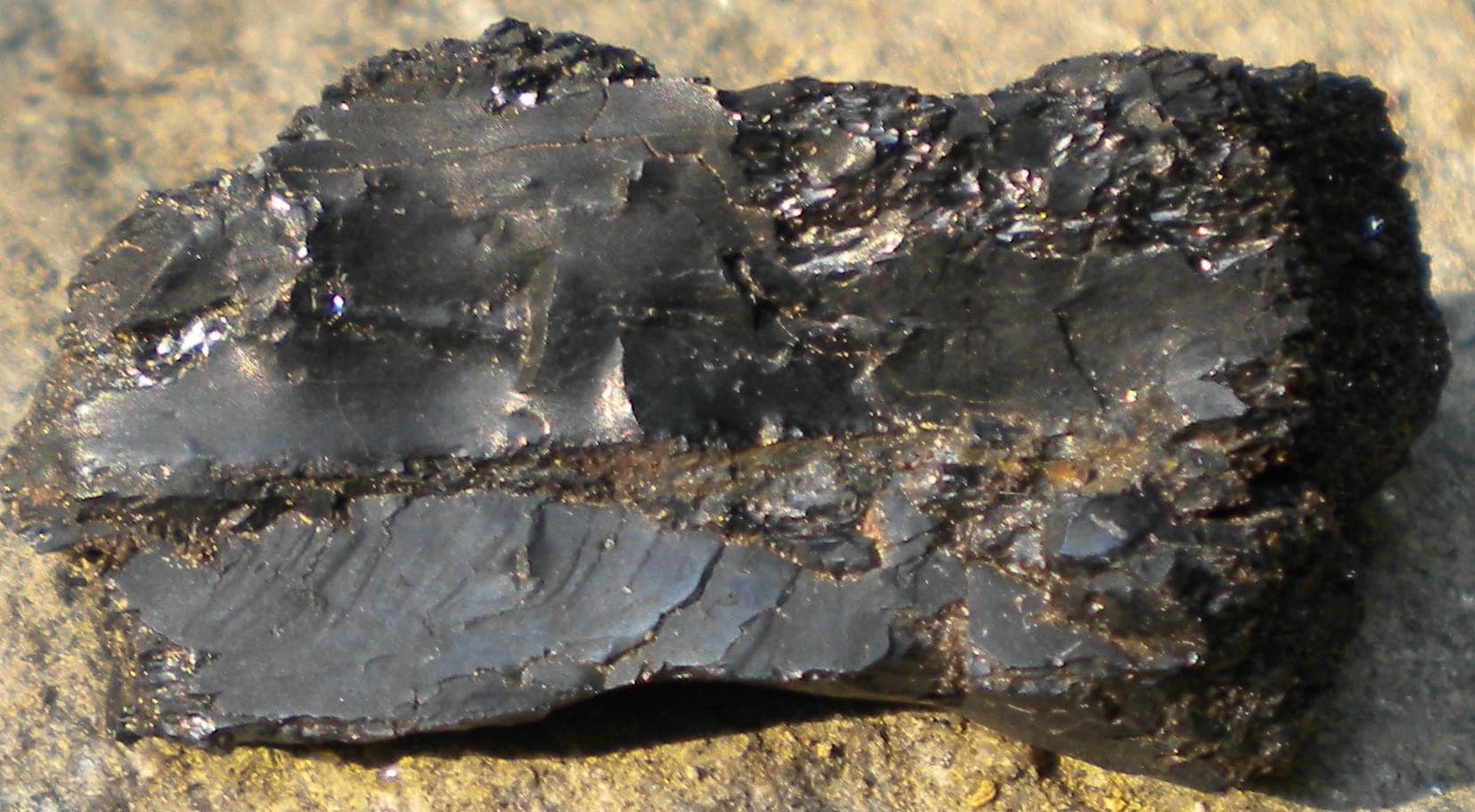 В Узбекистане хотят производить удобрения из угля