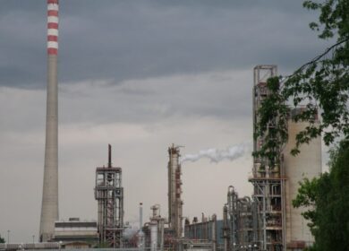 Petrokemija вновь остановила производство