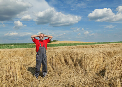 Ирландские фермеры страдают от дороговизны удобрений