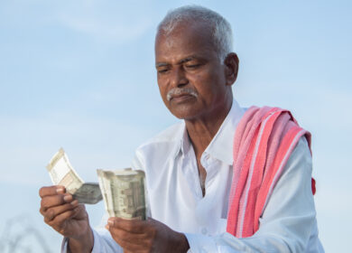 В Индии не хватает средств на субсидирование удобрений