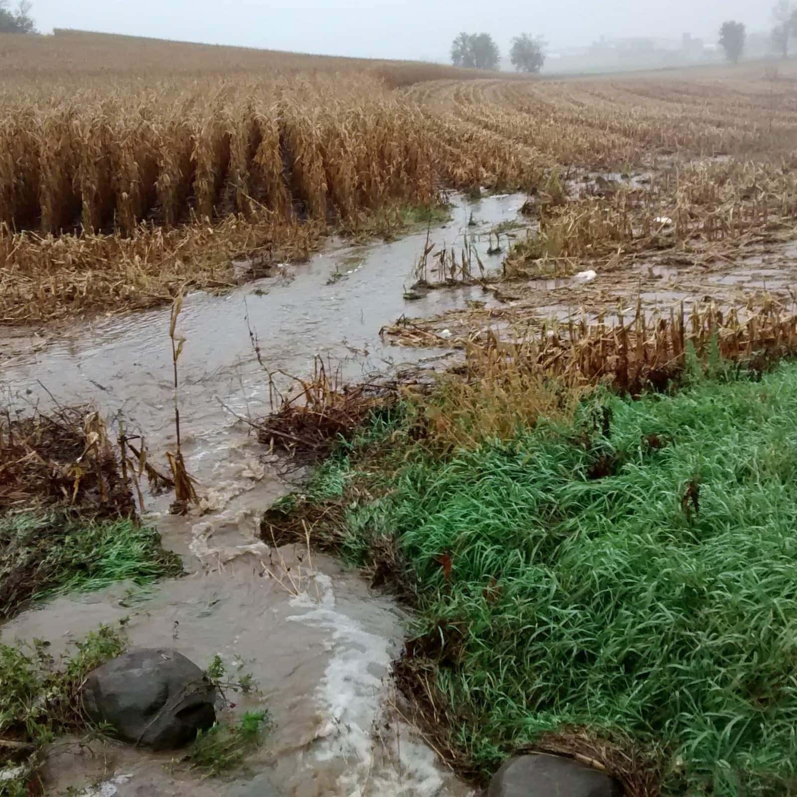 Ученые нашли предел накопления фосфора в земле