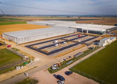 BASF решил вплотную заняться огурцами