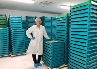 Кормовые насекомые заменят рыбную муку